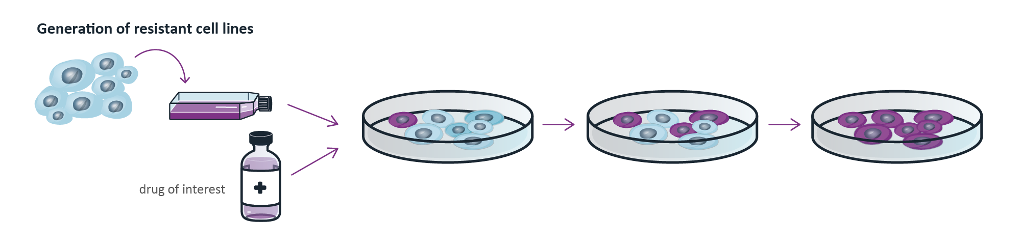 Oncolines® - Cell Line Generation - Resistant cell lines